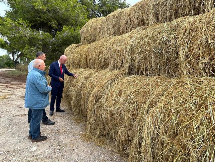Campanya de recollida de palla