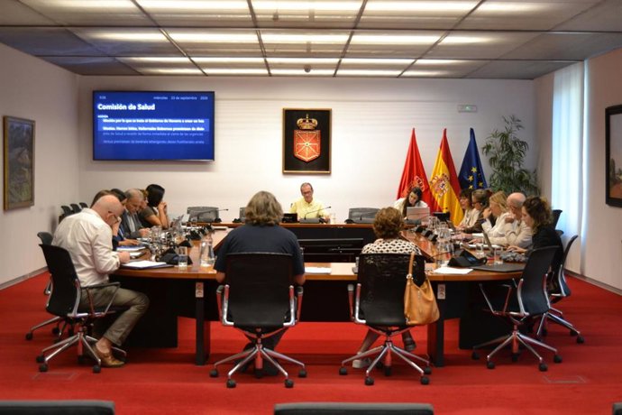 Comisión de Salud del Parlamento de Navarra.