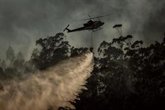 Foto: Las Becas Leonardo 2026 reconocen 59 proyectos que abarcan desde predecir incendios hasta frenar metástasis del cáncer