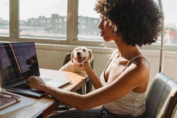 Destinos pet friendly para nómadas digitales