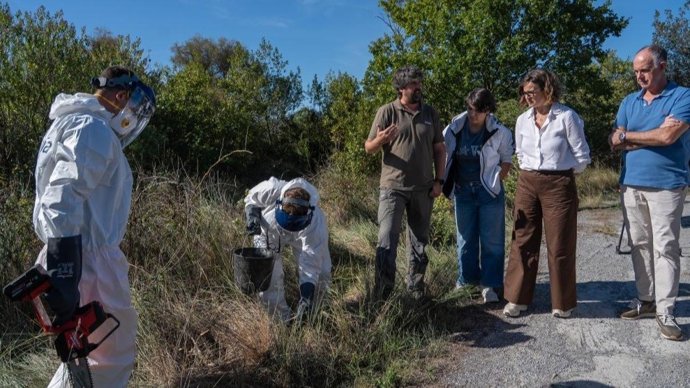 La diputada general de Bizkaia, Elixabete Etxanobe, en Gautegiz Arteaga donde han comenzado ha ejecutarse los trabajos para combatir las especios invasoras de Urbaibai