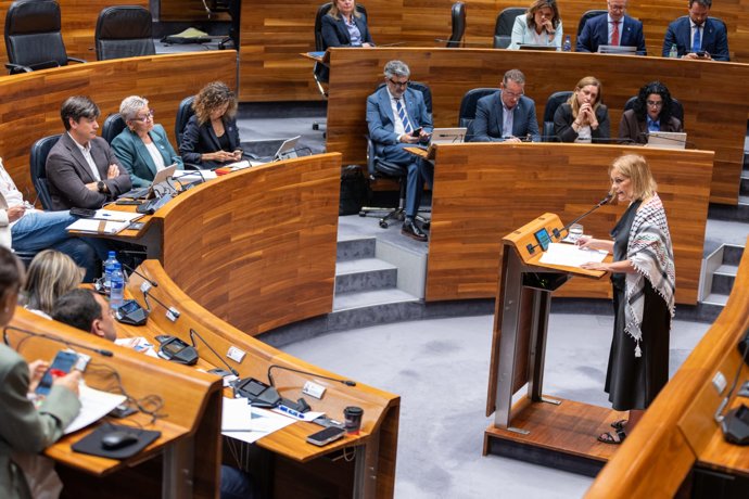 La diputada del Grupo Mixto Covadonga Tomé en la Junta General