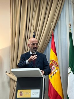 Archivo - El subdelegado del Gobierno central en Málaga, Javier Salas.