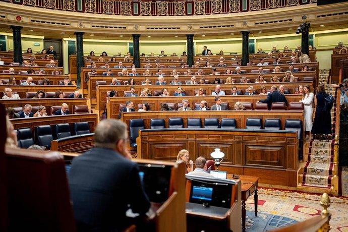Vista general durante una sesión plenaria en el Congreso de los Diputados.