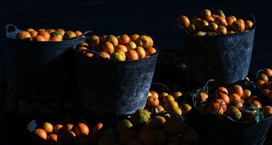 EpAgro - Agricultura