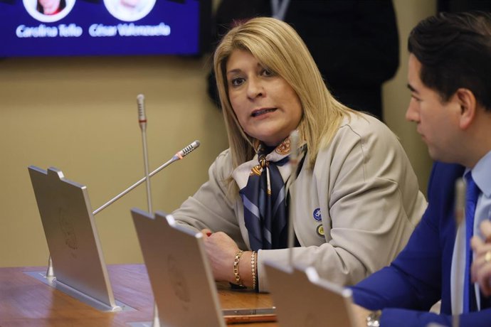 Chile.- Diputada Parisi insiste en que interpelación a canciller está  fuera de tiempo 