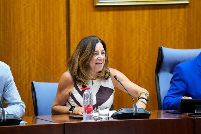 La consejera de Educación, María del Carmen Castillo, en la comisión parlamentaria del 23 de septiembre de 2026.