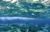 Foto: Una alianza de 30 países compromete al menos 211 millones para reforzar la observación mundial de los océanos