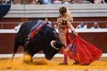Oreja para Luque y Jiménez en un final anodino de la feria de San Mateo de Logroño