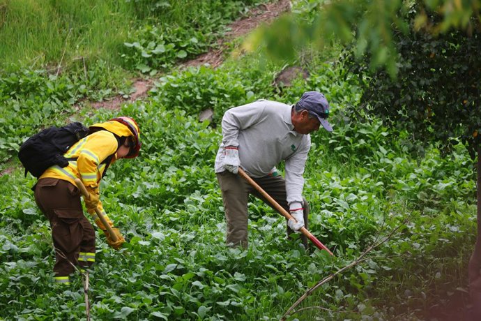 Santiago, 23 de septiembre de 2026. Autoridades presentan el Programa de Empleo para Fortalecer la Prevencion y Mitigacion de los Incendios Forestales, el cual habilitara 10 mil cupos, distribuidos entre las regiones de Atacama y Los Lagos, entre los