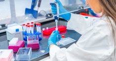 Investigación