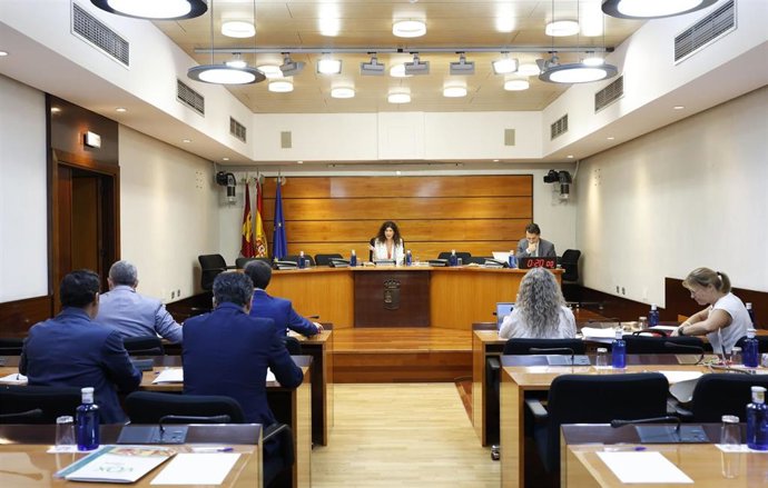 Comisión sobre el Proyecto de Ley de espectáculos públicos y actividades recreativas de Castilla-La Mancha