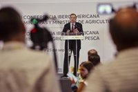 Planas ve "muy importante preservar" la estructura de producción de Deóleo y "garantizar la seguridad de abastecimiento"