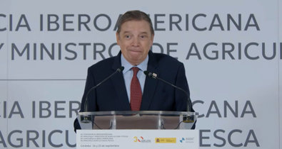 Vídeos