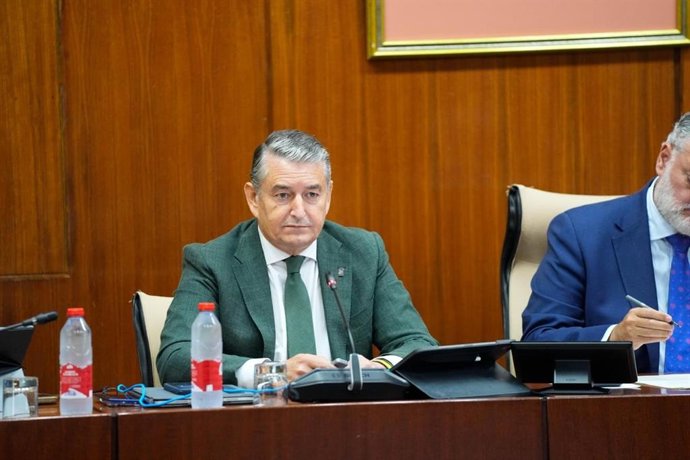 El vicepresidente primero y consejero de Presidencia, Sanidad y Emergencias, Antonio Sanz, en su comparecencia en comisión parlamentaria.