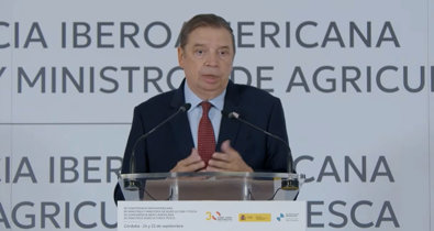 Vídeos