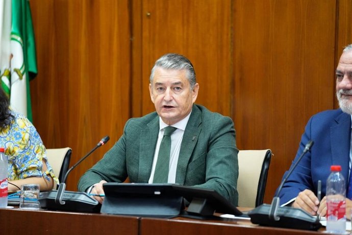 El vicepresidente primero y consejero de Presidencia, Sanidad y Emergencias, Antonio Sanz, en una comparecencia en la comisión del Parlamento.