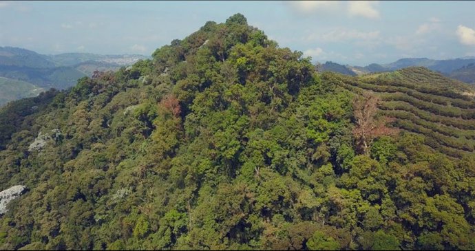Área de biodiversidad en Caldas, Colombia (Archivo: Invesmar)