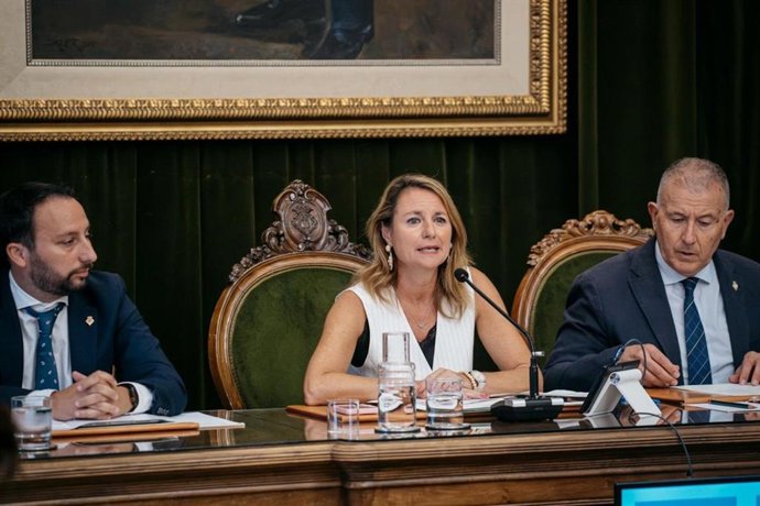 Pleno del Ayuntamiento