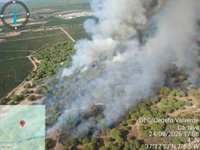 El Infoca despliega medios aéreos para atajar un nuevo incendio en Cartaya (Huelva), el tercero este mes