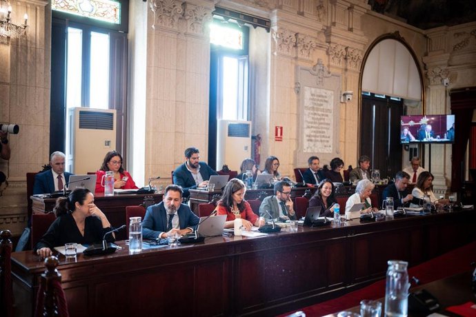Pleno en el Ayuntamiento de Málaga.