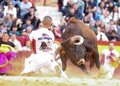 La Ribera acoge este viernes el Gran Concurso de Recortadores 'Maestros de la Calle'