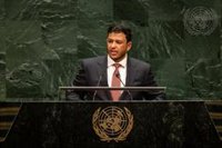 Yemen reclama ante la ONU que la protección de Bab el Mandeb no puede recaer "solo sobre sus espaldas"