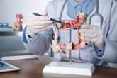 Foto: Los vasos sanguíneos del cáncer colorrectal podrían esconder una pista clave sobre la supervivencia