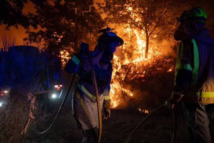 Varios bomberos trabajan en la extinción del fuego, a 24 de septiembre de 2026, en Calvos de Randín, Ourense, Galicia (España).
