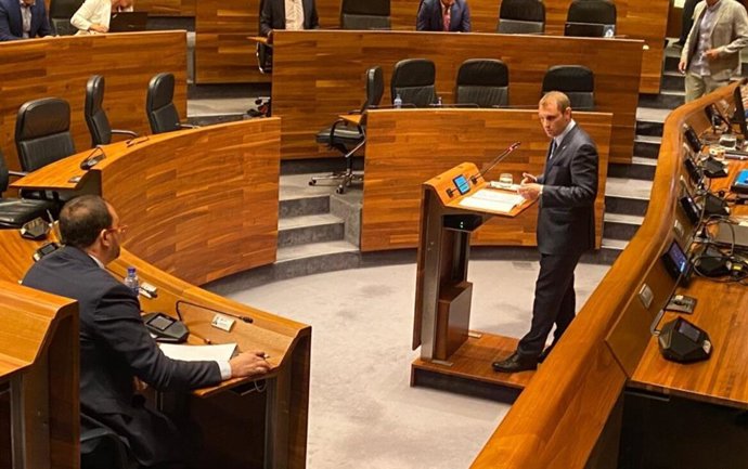 El diputado del grupo mixto Adrián Pumares (Foro) en la Junta General.