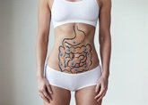 Foto: La microbiota intestinal podría tener un papel clave en la salud y la función muscular