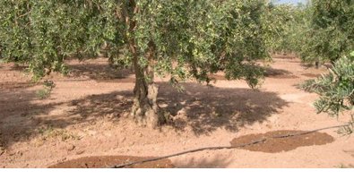 Andalucía