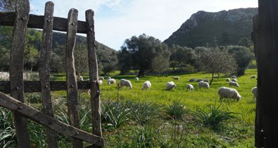 Islas Baleares