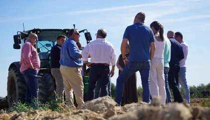 El PP-A lamenta el "hachazo fiscal" del Gobierno a los agricultores: "De cada 100 euros, Sánchez se queda 30"