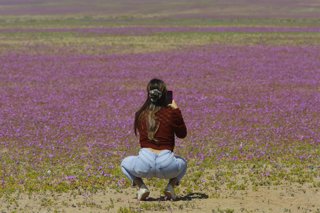 Santiago, 2 de octubre de 2022. Presidente Gabriel Boric anuncia la creaci n del Parque Nacional Desierto Florido en la region de Atacama. Juan Eduardo Lopez/Aton Chile