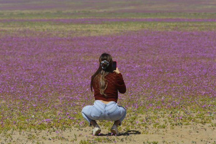 Santiago, 2 de octubre de 2022. Presidente Gabriel Boric anuncia la creaci n del Parque Nacional Desierto Florido en la region de Atacama. Juan Eduardo Lopez/Aton Chile