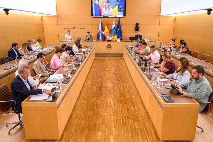Pleno del Cabildo de Tenerife