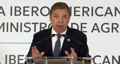 Vídeos