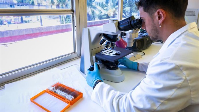 Archivo - Un investigador del estudio sobre los tejidos adyacentes del cáncer de mama, en una foto de archivo.