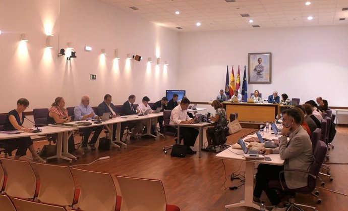 Pleno municipal del Ayuntamiento de Guadalajara.