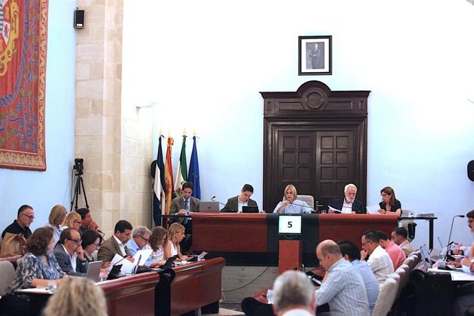 Pleno del Ayuntamiento de Jerez.