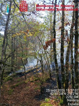 Incendio en una zona de arbolado en Urbasa.