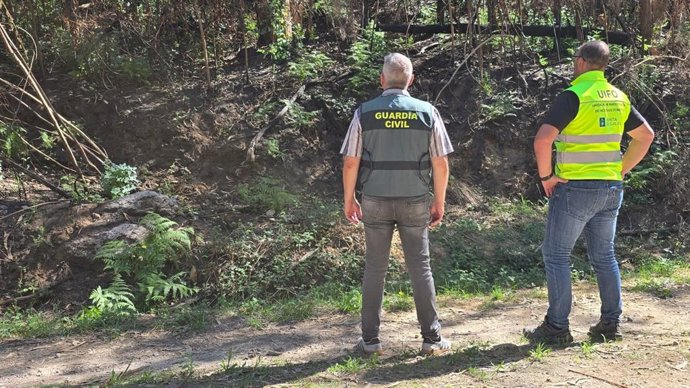 Agentes de la UIFO de la Xunta y del SEPRONA.
