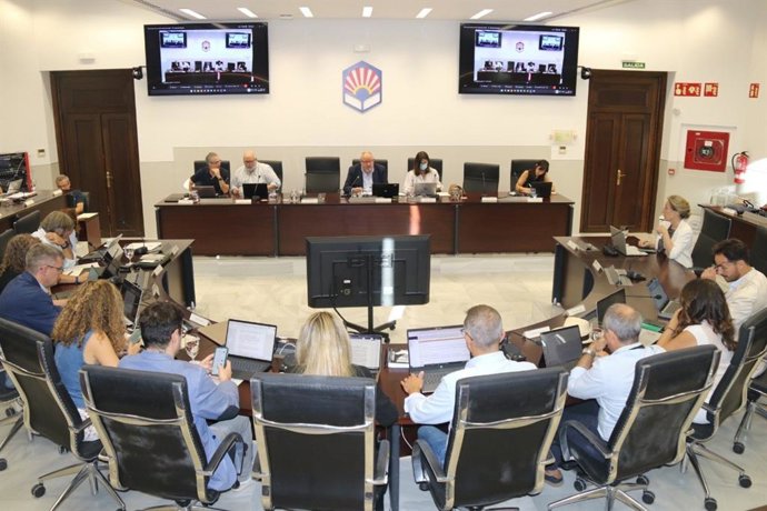 Reunión del Consejo de Gobierno de la Universidad de Córdoba.