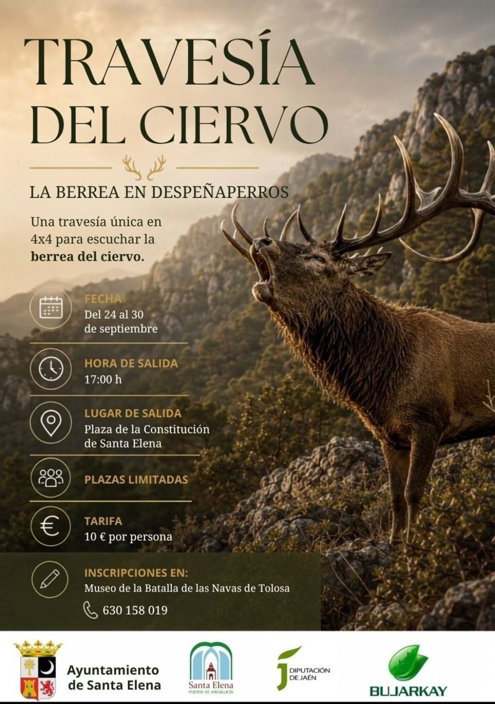 Cartel de la actividad