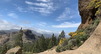 Islas Canarias