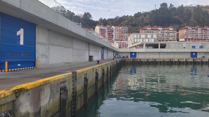 Archivo - Puerto de Ondarroa (Bizkaia)