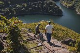 Foto: La 'heroica' recuperación de la Ribeira Sacra y el reto del cambio climático