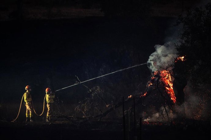 Bomberos forestales tratan de extinguir un incendio en Cáceres.