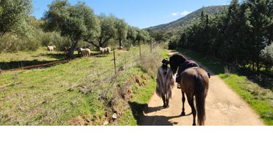 Extremadura